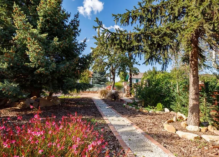 Zen By Interhome * Révfülöp